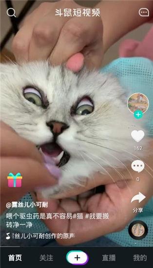 番鼠爆料视频大全下载,揭秘热门话题背后的真相 第2张 番鼠爆料视频大全下载,揭秘热门话题背后的真相 第2张